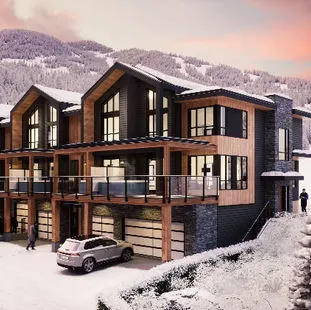 Nordix Panorama Townhomes project image 1